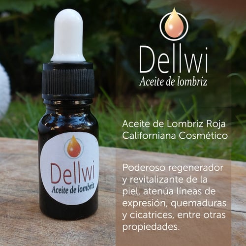 aviso Dellwi IG 01