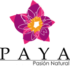 logo 1PAYA