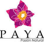 logo 1PAYA